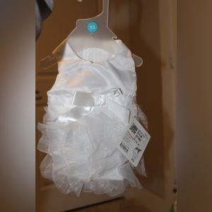 COPY - Dog Wedding Dress